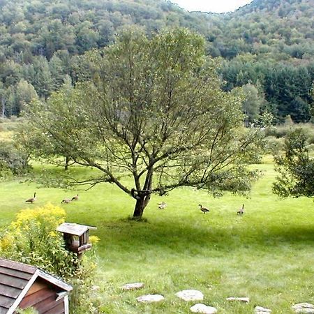 كيلنغتون Mountain Valley Retreat المظهر الخارجي الصورة